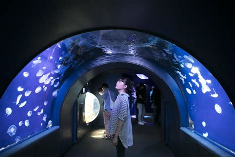 サンシャイン 水族館 デート プラン|池袋デートで愛を深めるなら、夜のサンシャイン水族館＆展望台 .